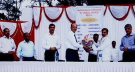 19th Annual Sports